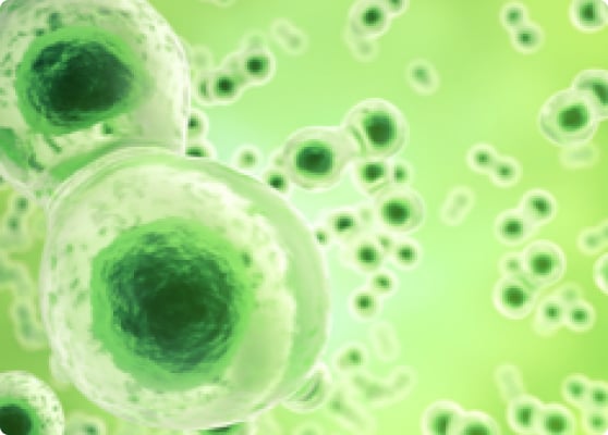Pfizer Oncology Commitment to Genitourinary Cancer