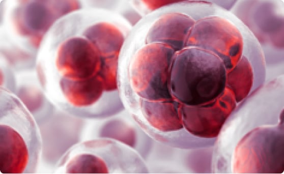 Now Enrolling in Metastatic Castration-sensitive Prostate Cancer